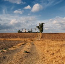 Way Home / ----