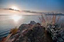 Daybreak silence / ***