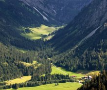 Alpine Trail (3) / ***