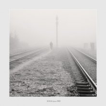 The road in fog / ***