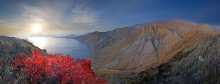 autumn spaces Cimmeria / ***