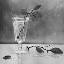 Under the rain drops ... / .......................