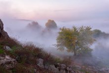 Misty Rhapsody / ***
