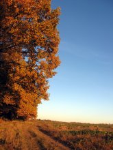 Autumn unserer Liebe / ***
