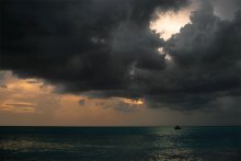 false forecast / false forecast