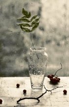 Fall Again knocking rain ... / .........................