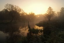 Dawn / ...........