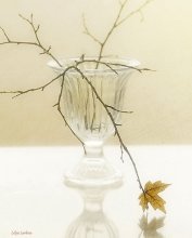 Maple Leaf ... / ...................