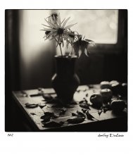 102 / .........