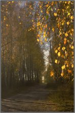 Herbst / ***