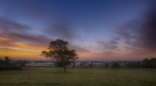 At dawn / ***