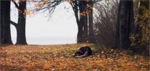 Einsamkeit - ein Bastard ........ / [img]http://ii1.photocentra.ru/images/main39/391100_main.jpg[/img]
