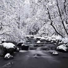 Der erste Schnee / ***