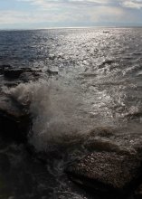 Mediterranean / ***