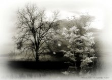 Autumn graphics / Autumn graphics