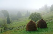 Foggy morning / ******