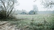 About the farm / ***