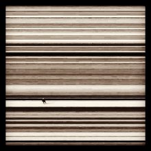 Lines / Could you guess? How does it made?