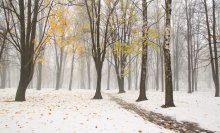 First snow / ***