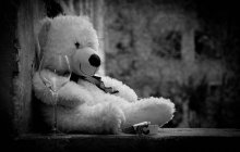 Teddy .... / ***