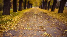 Autumn in Prague / ***