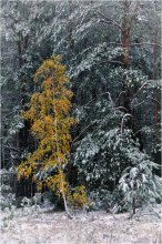 Coldly / ***