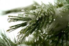 Hasse Winter .. / ---