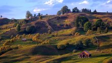 Chernivtsi / ***