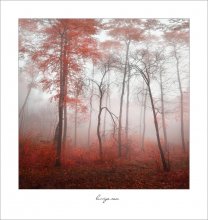 Series silence / ***