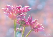  / *********