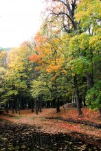 Autumn / ***