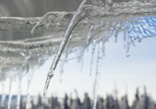 Ice Birds / ======