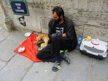 Dogs and Puppies / ***