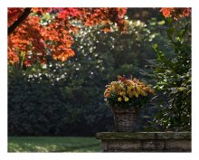 Autumn Etude / ***