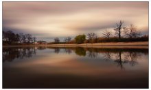 mirror / ***