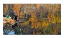reflection of autumn / ******
