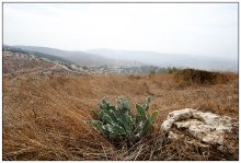Samarium / ***
