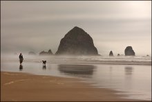 Ocean. People. Dog. / ***
