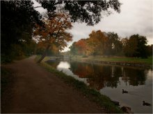 Landscape with ducks / ***