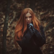 &nbsp; / ***