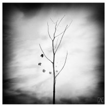 [ Goodbye Autumn ] / ***