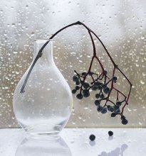 On a rainy day .... / .....................