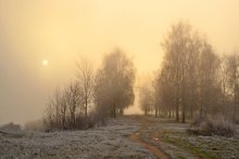 frosty morning / ***