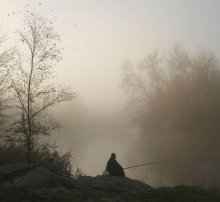 All of our fish! / ***