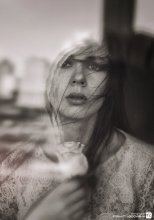  / ***