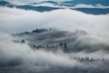...Fog... / ***