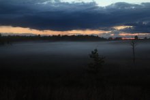 the fields fog and dampness / ***