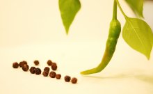 Pepper / ***
