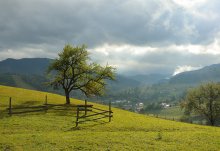 Carpathians after rain / ******