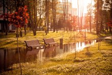 Solar Flood / ***
